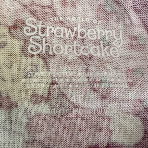 Strawberry Shortcake Toddler Girls Print Dress with Short Sleeves size 4T New - Picture 4 of 6